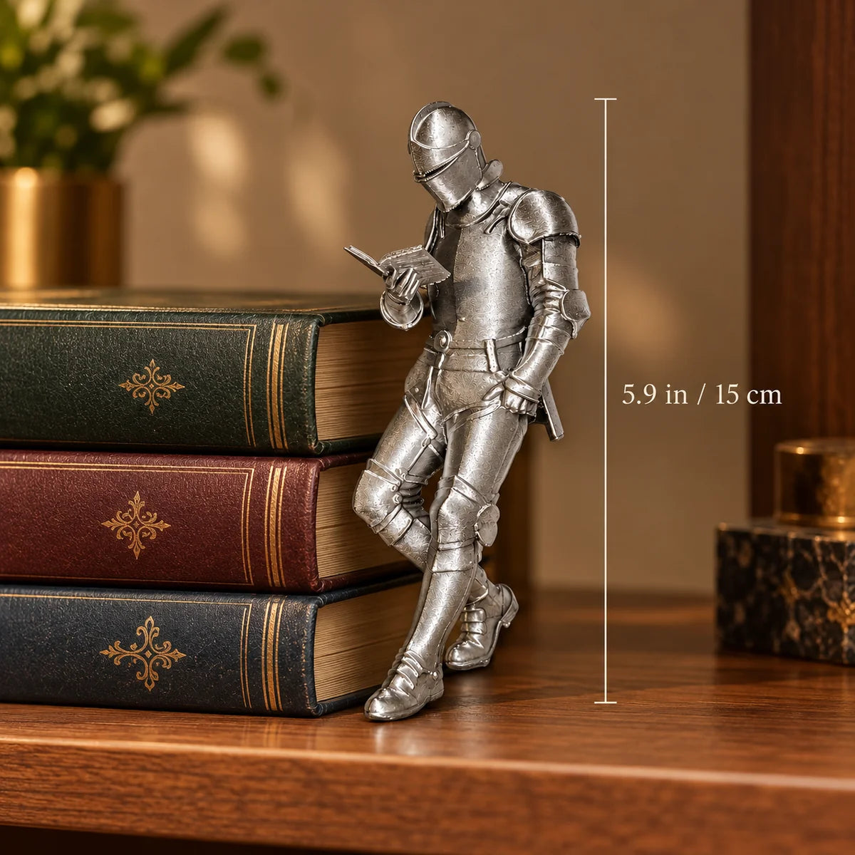 The Reading Knight